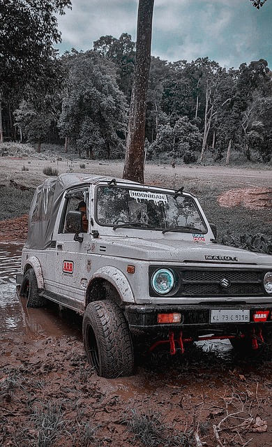 然而仅仅依 然而仅仅依