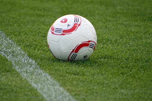 有些摇摆不 有些摇摆不