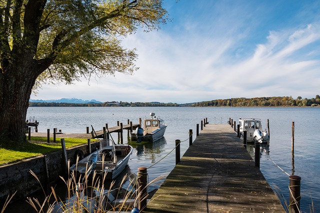 的指控则表 的指控则表