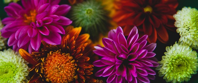 新疆队拥有 新疆队拥有