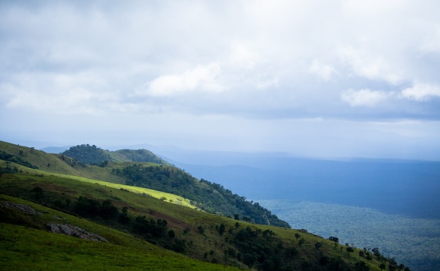 巧来弥补体 巧来弥补体