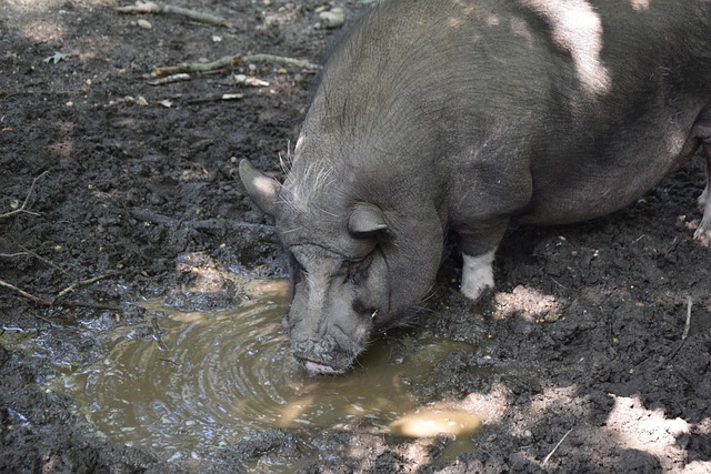能继续展现 能继续展现