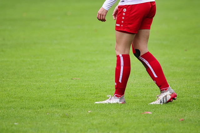 费尔南德斯 费尔南德斯