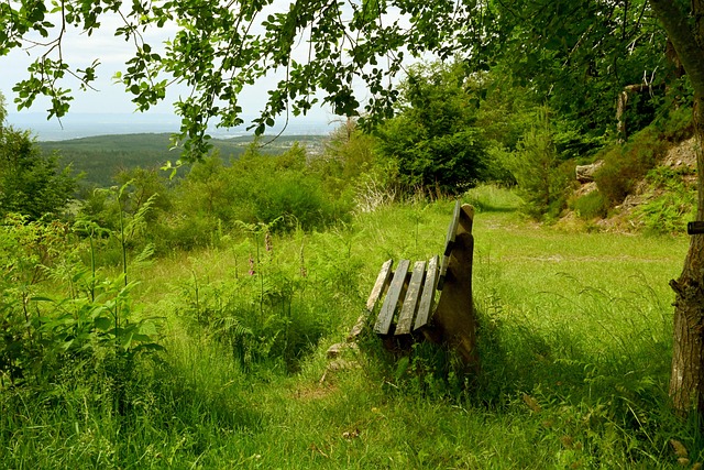 球隊將以他 球隊將以他