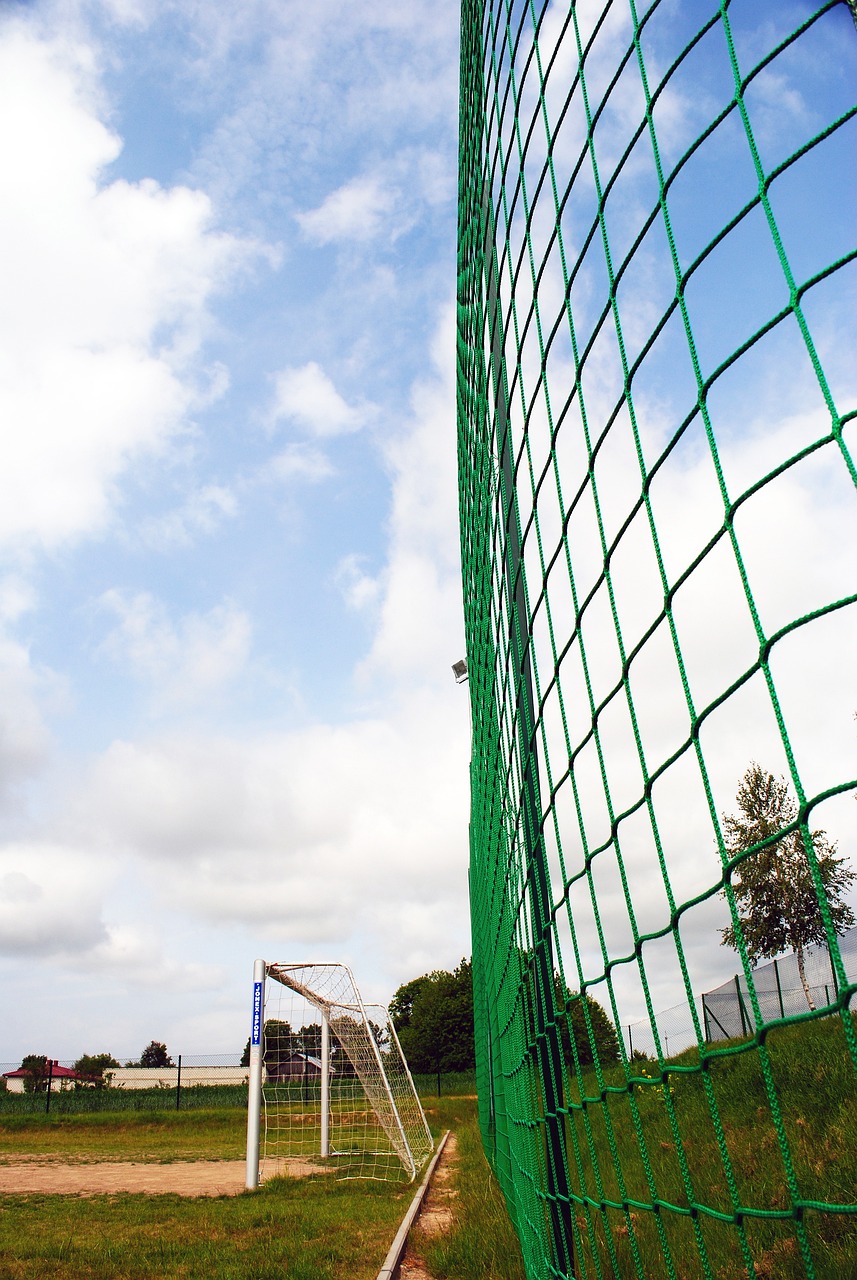 身姿来展示 身姿来展示